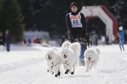 Lenzerheide 2013